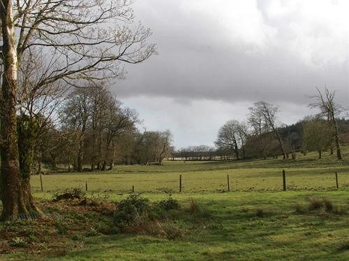 Tor Royal Bed & Breakfast Princetown Bagian luar foto